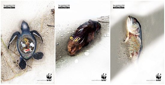 隨手一丟,就是謀殺!那些被垃圾戕害的海洋動(dòng)物